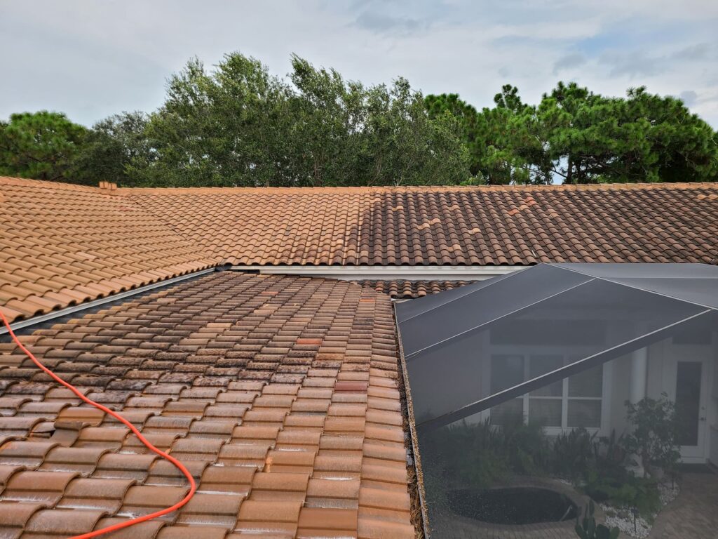 Roof Cleaning Services